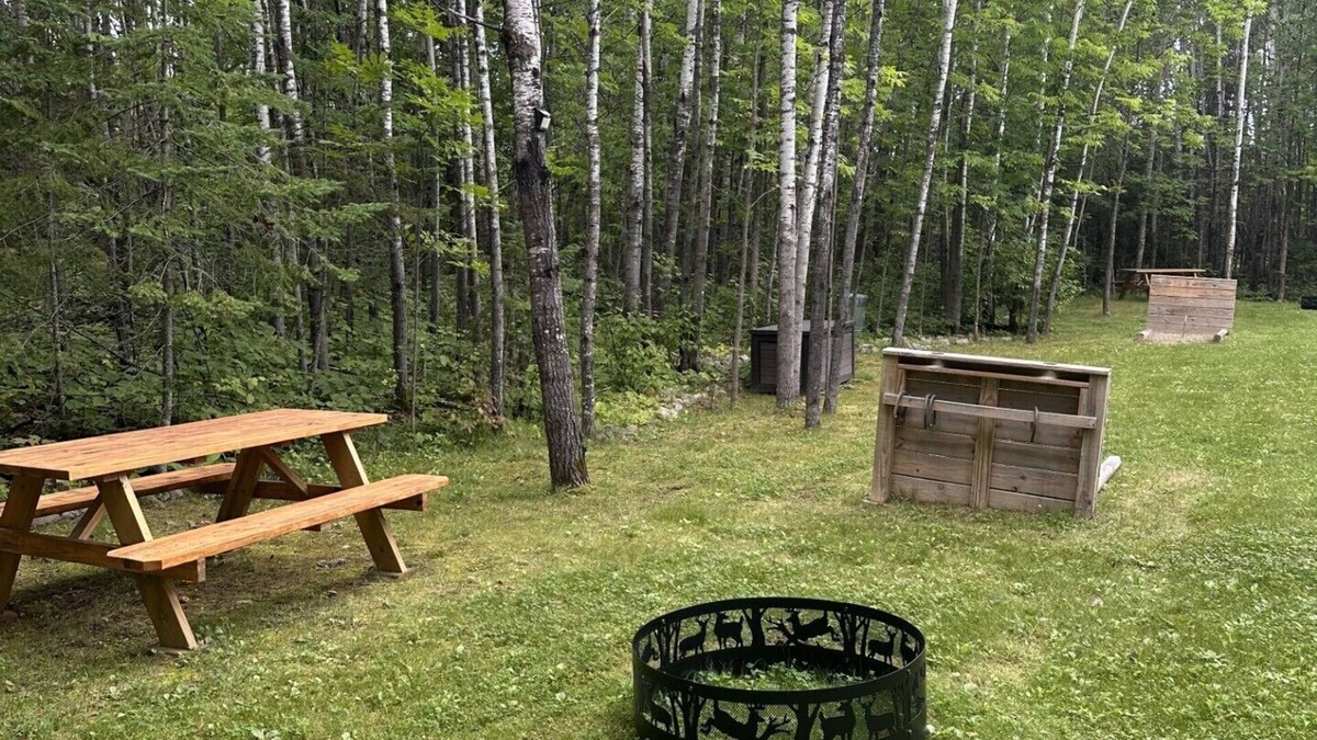 Tower House | Dragonfly: A cozy peaceful retreat near Lake Vermilion