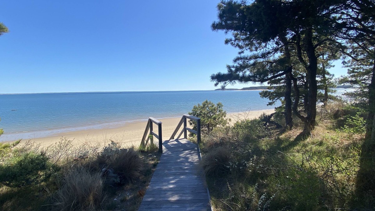 Wellfleet House | Dream Beach House on Mayo Beach Wellfleet Cape Cod