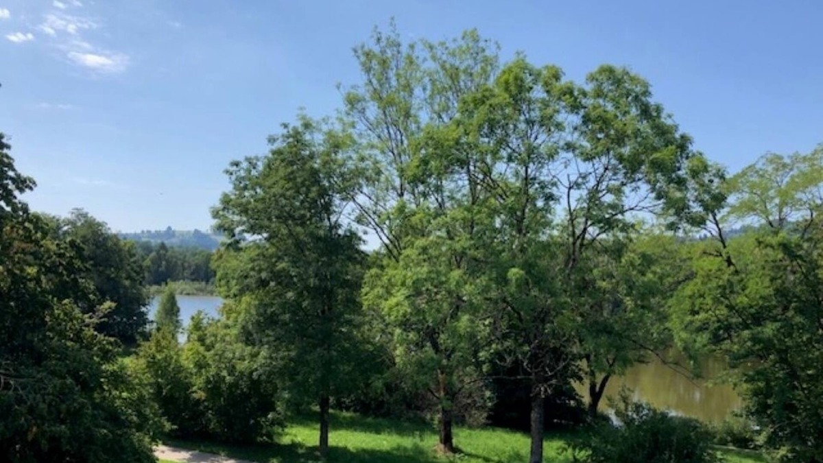Kempten Apartment | Dream home with mountain and lake views