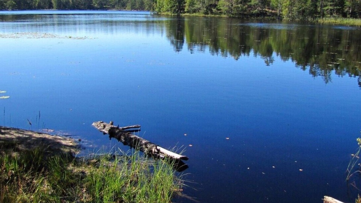 Flemingsberg House | Dream house by the lake, 30 min by car-Stockholm's center, 100 m-nature reserve.