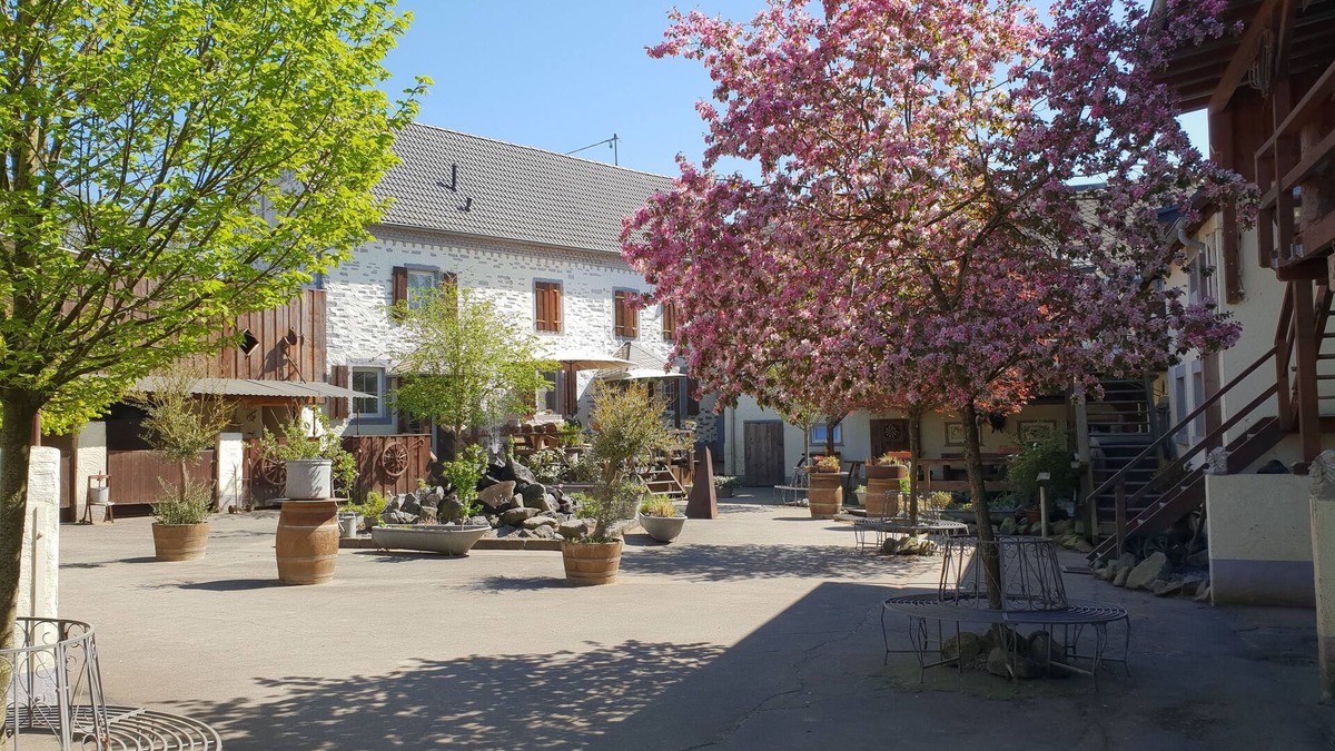 Munstermaifeld Apartment | Dream vacation apartment on an idyllic farm near Eltz Castle