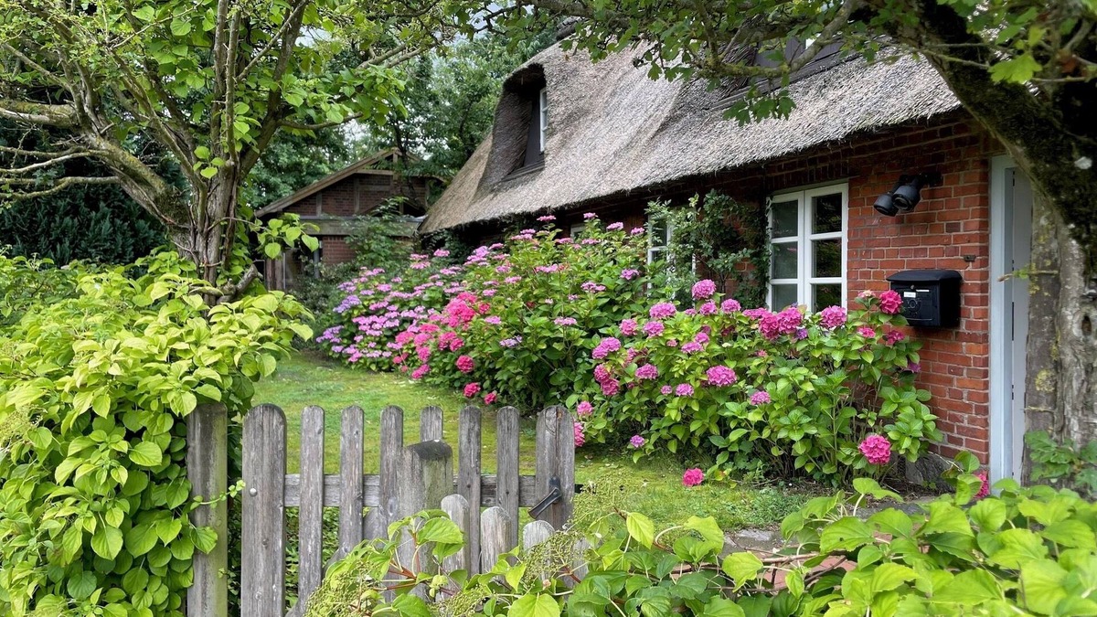 Brarupholz House | Dream vacation in a stylish thatched-roof house in a rural setting