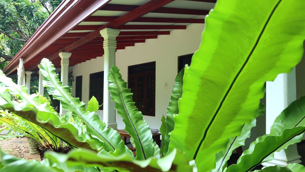 Sigiriya Bed & Breakfast | Dream Weaver Eco Homestay Sigiriya