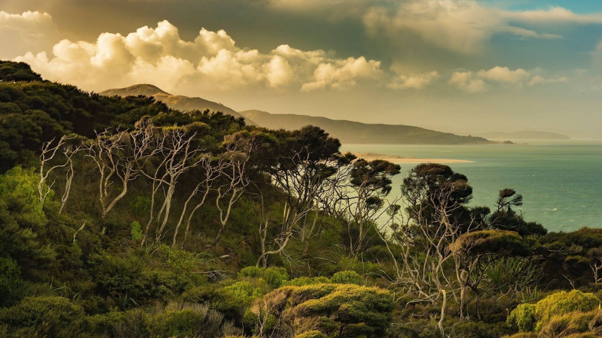 Raglan Cottage | Dreamcatcher Lodge, two-tone
