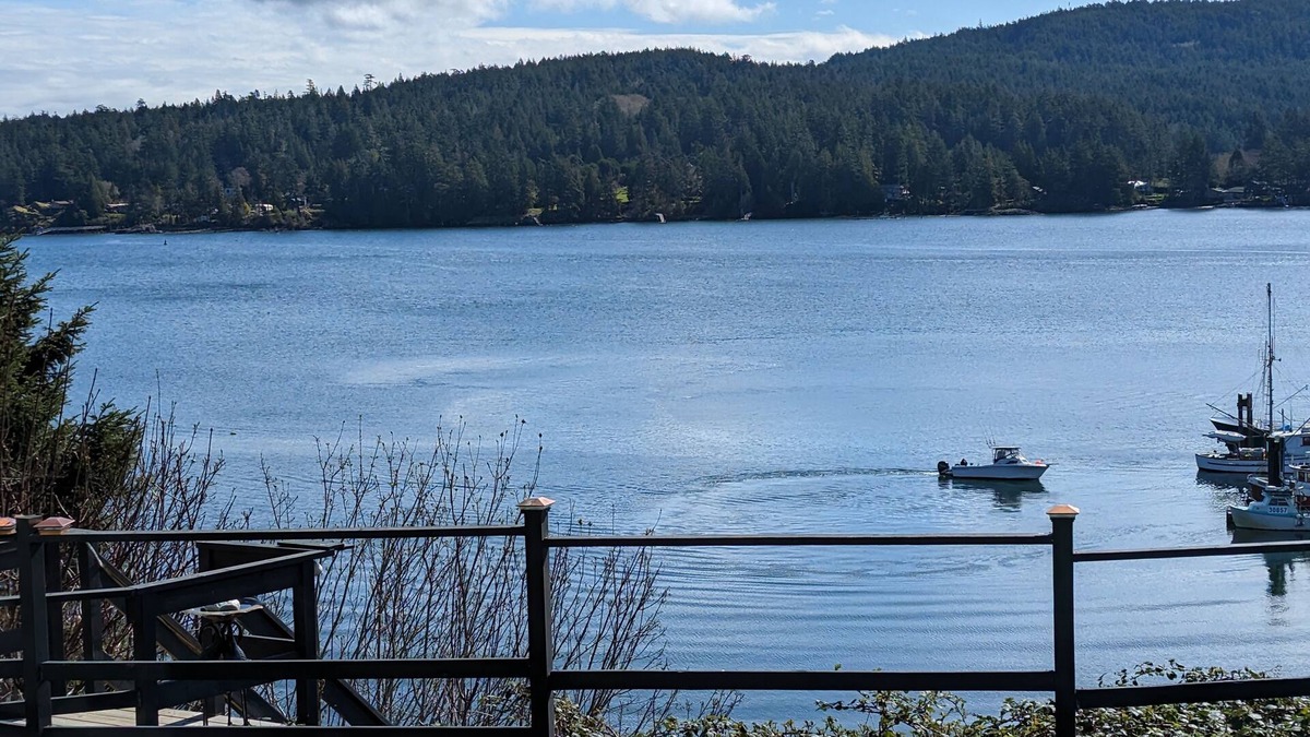 Sooke Apartment | Dreaming By The Water