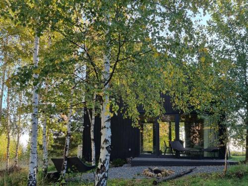 Pieszyce Ski Chalet | Drewniany dom w brzozowisku