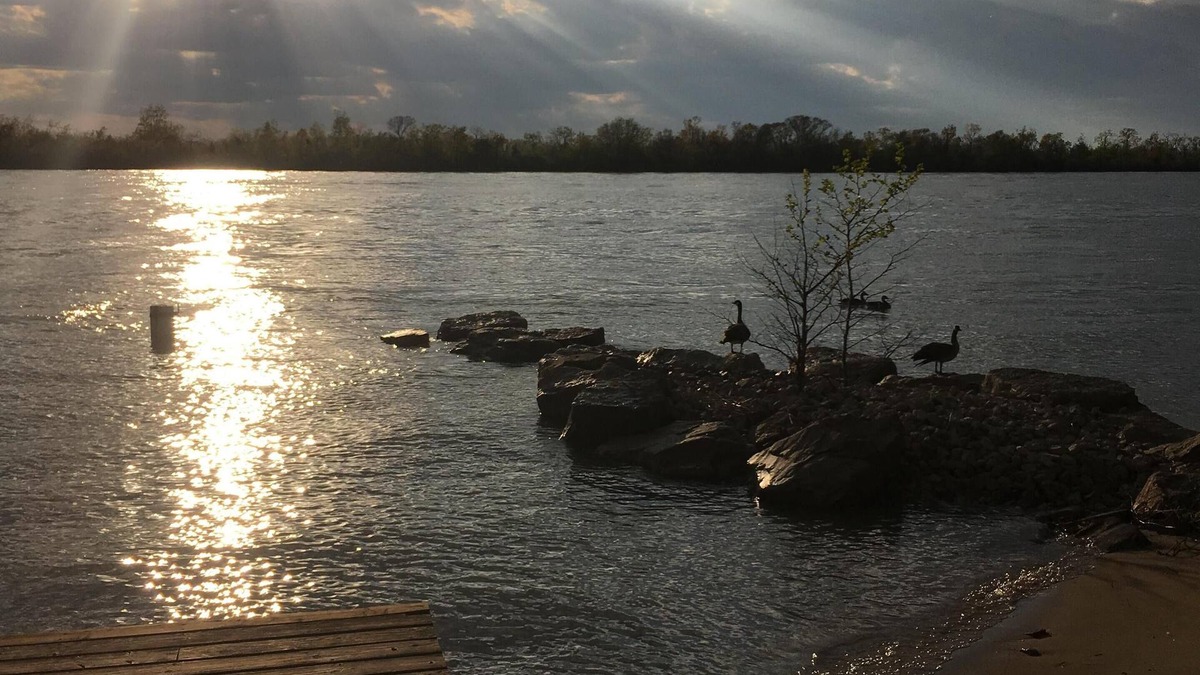 Amherstburg Cottage | Drifted Inn - Riverfront Cabin