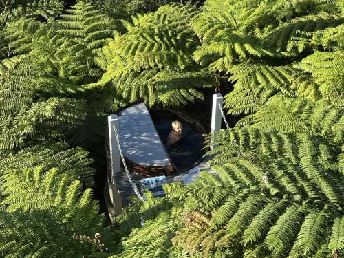 East Ballina Apartment | DRIFTWOOD- Hidden Gem, great view in a nature setting