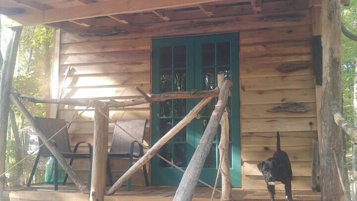 Ozone Cabin | Driftwood Treehouse Cabin w/AC, Peaceful & Cozy!