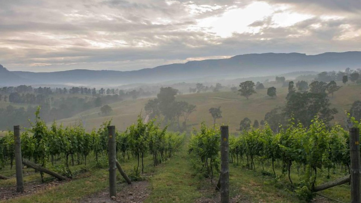 Megalong Valley Cabin | DRYRIDGE ESTATE - Sunrise Lodge