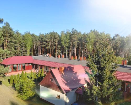 Wolsztyn Apartment | Drzewosfera
