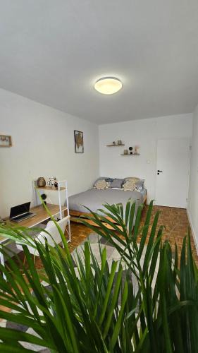 Kielce House | Duże pokoje w nowoczesnym stylu