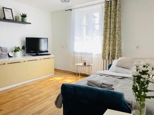 Namysłow Apartment | Duży apartament z kuchnią i łazienką