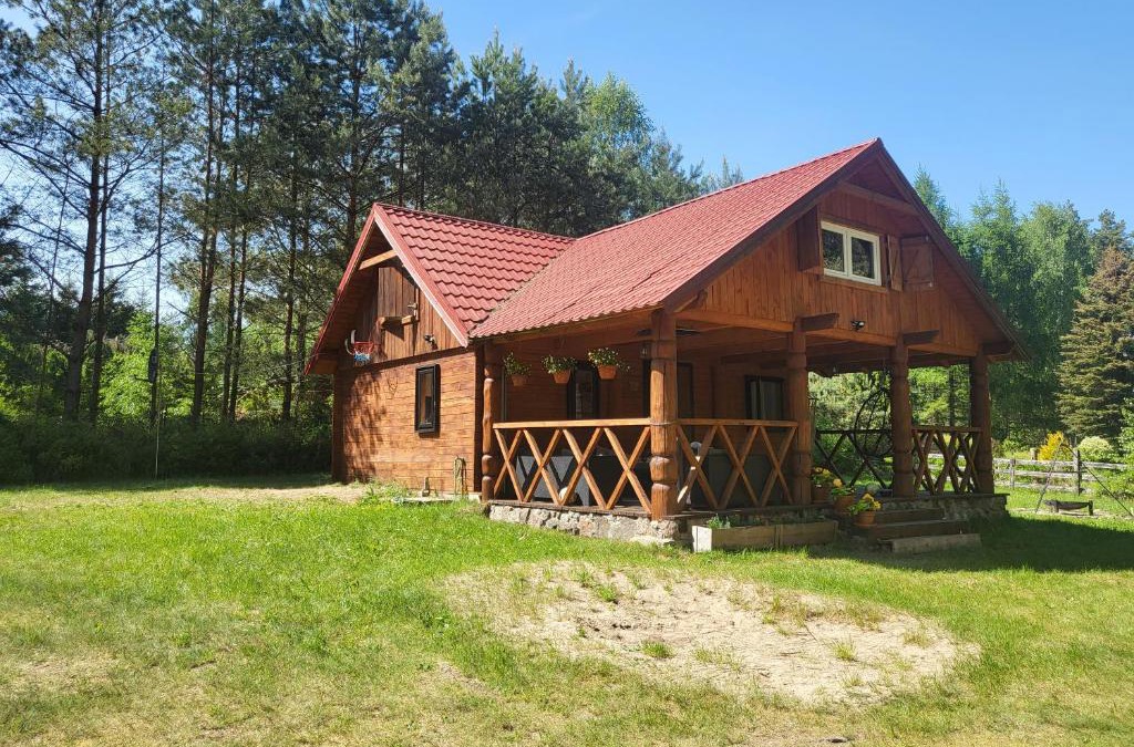 Olsztynek House | Duży domek przy lesie