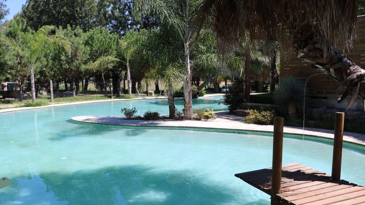 Nespereira Apartment | Duas Quintas - Areal Suite Master
