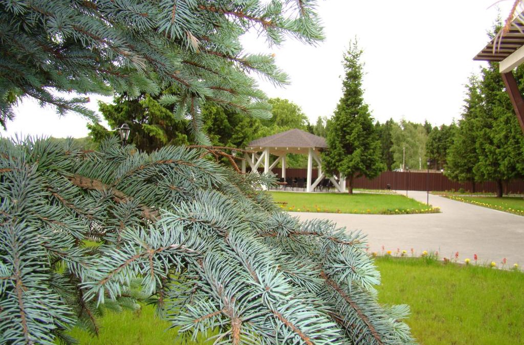 Lukino Hotel | Dubki Hotel