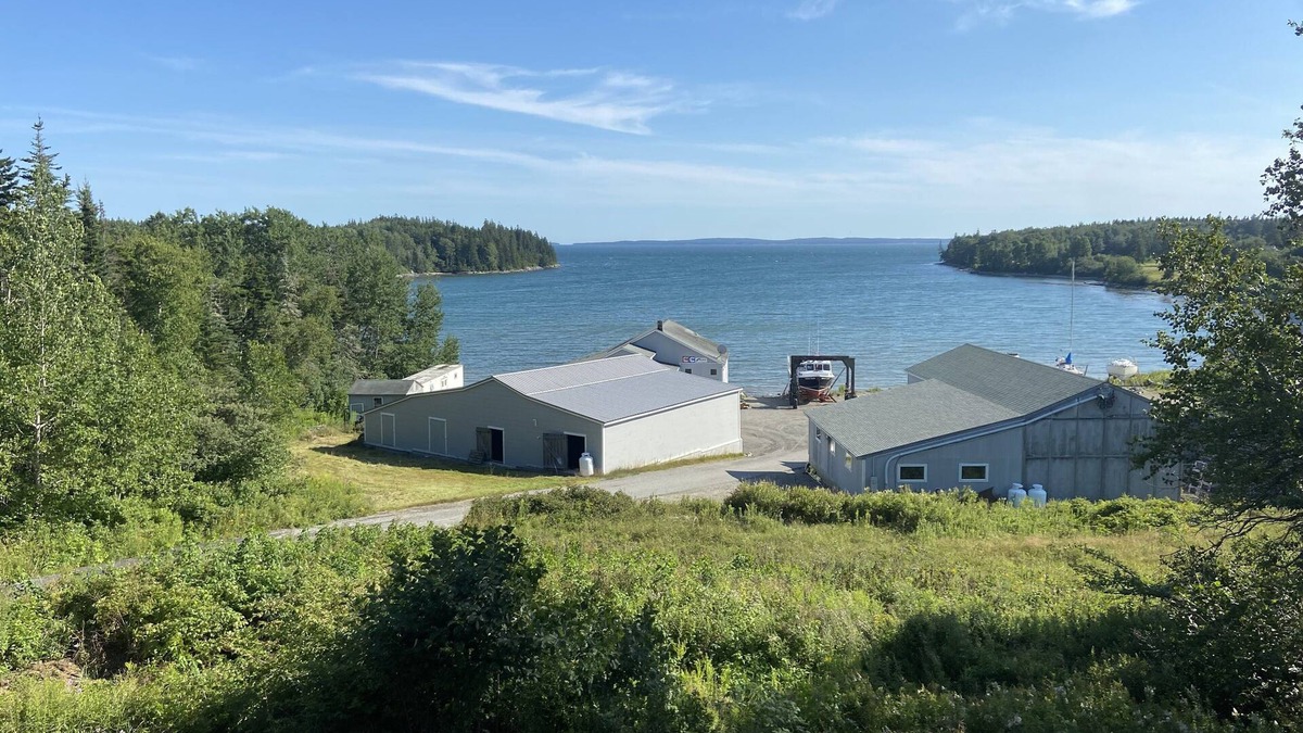 West Tremont House | Duck Cove Cottage overlooking beautiful Blue Hill Bay