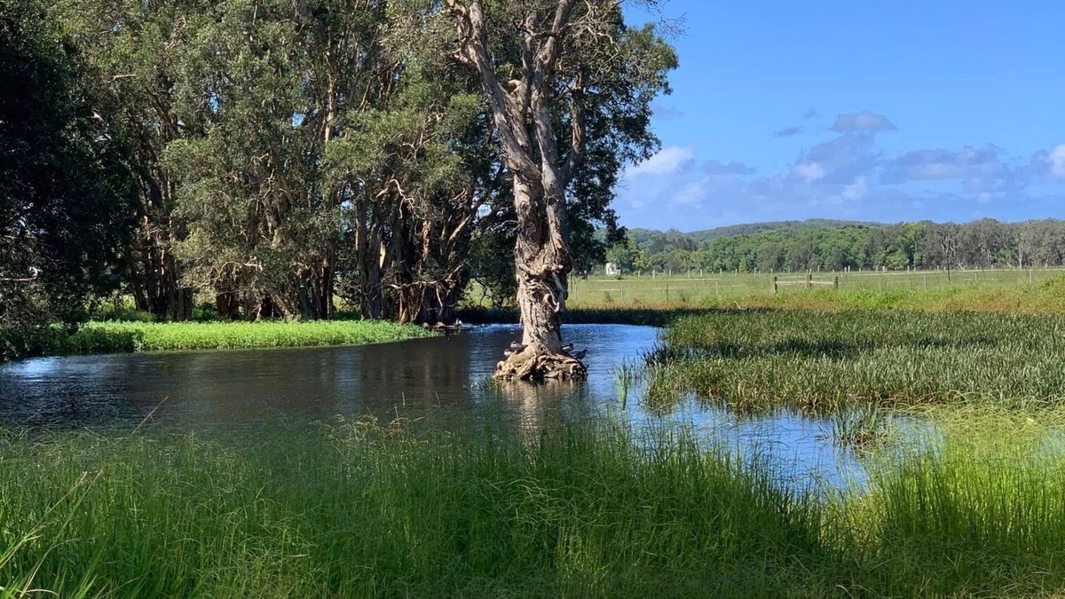 Raleigh Apartment | Duck Heaven in Bellingen Shire