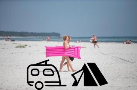 Dueodde Other | Dueodde Camping