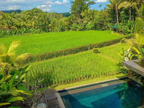 Payangan Villa | Dukuh Ubud Villa