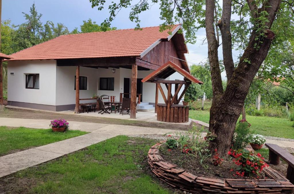 Pesteana House | Dumbrava Minunată
