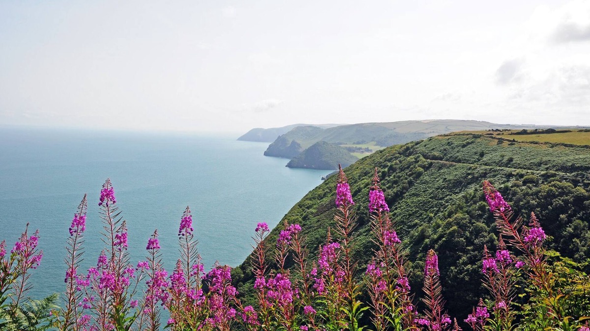 Wheddon Cross Cottage | Dunkery Cottage is located in the heart of Exmoor National Park at Wheddon Cross. Dog friendly