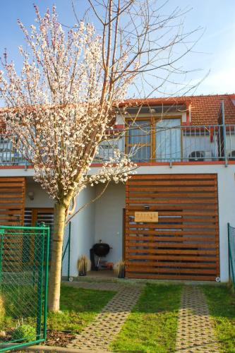 Dolni Dunajovice Apartment | Duplex apartmán Pálava