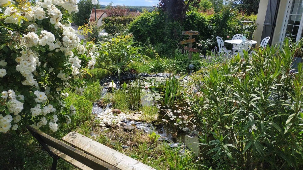 Saint-Martin-le-Beau Bed & Breakfast | Duplex room, with independent access, in the heart of the Loire castles