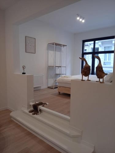 Klein-Antwerpen Apartment | DuplexJacob