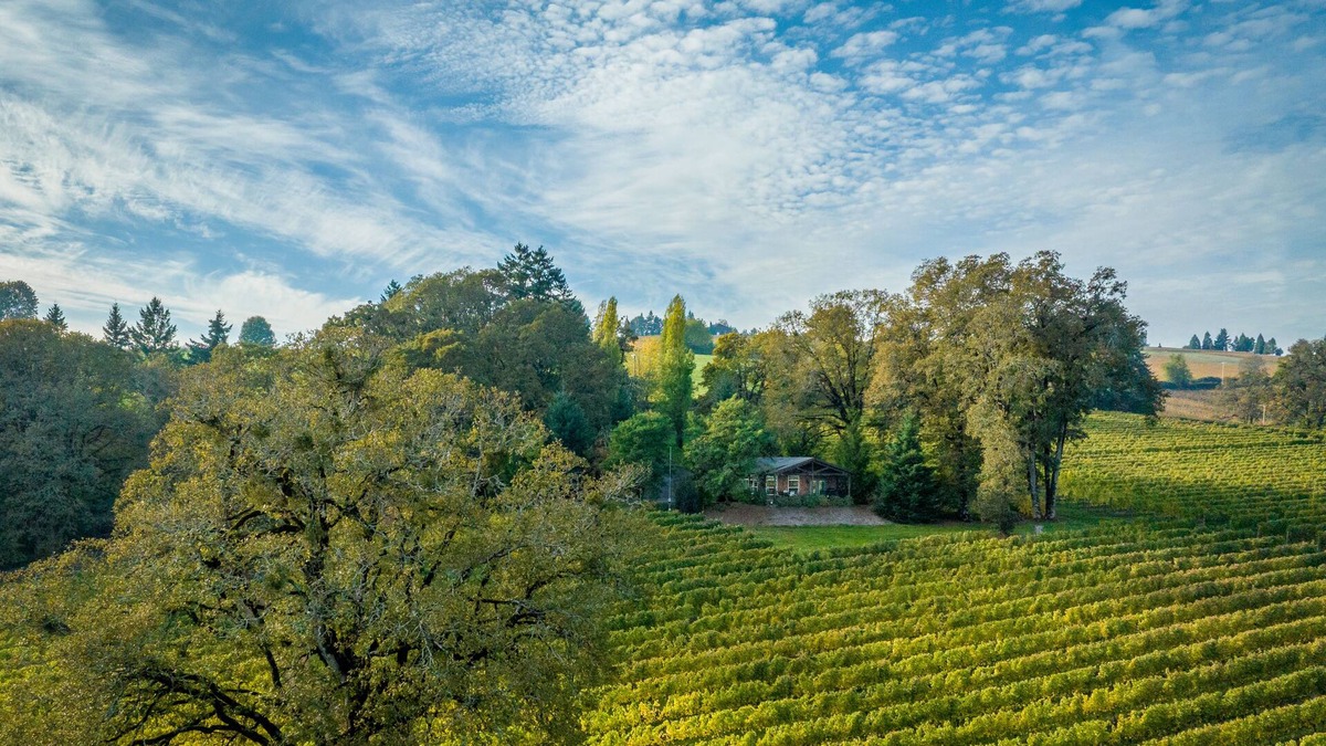 Dayton House | Durant Vineyard's Stoneycrest Cottage ~ stay amidst a destination for the senses