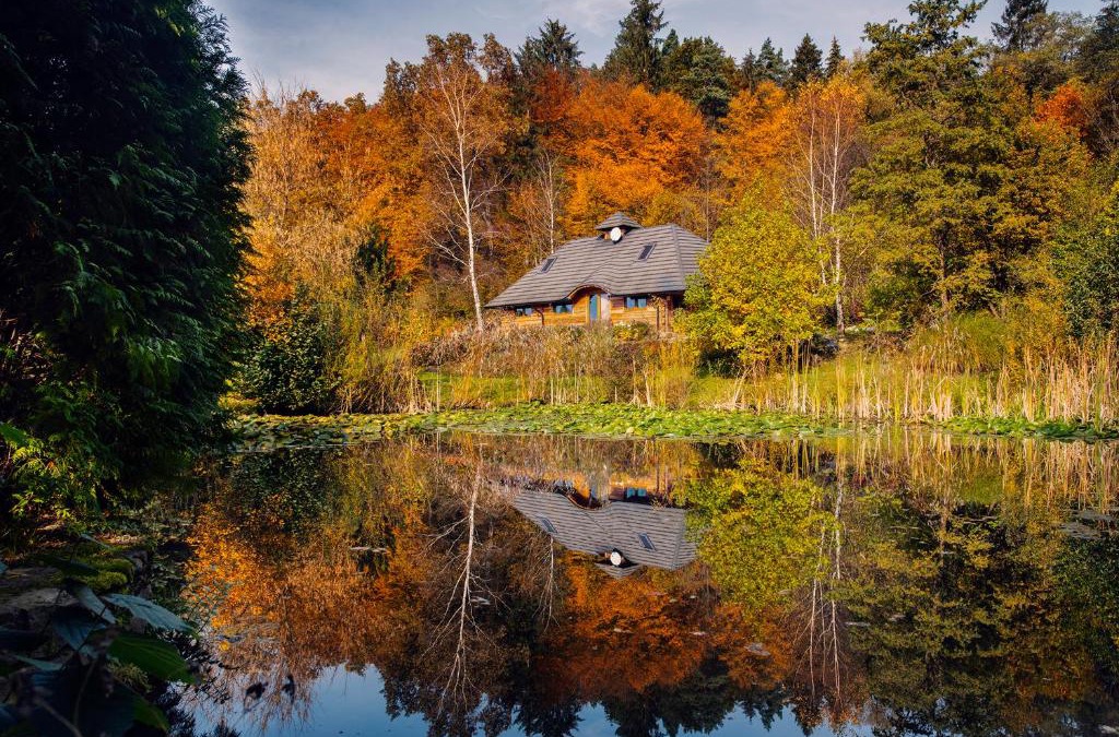Sanok House | Dzikie południe