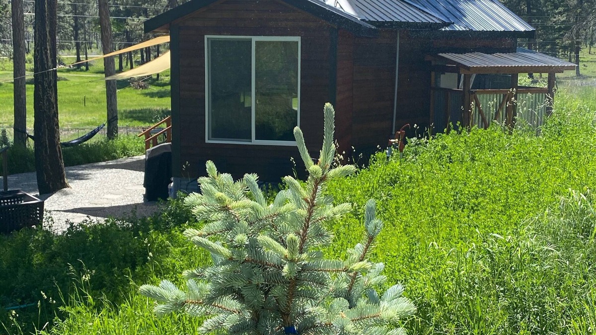 Lolo Cabin | Eagle's Nest For Great Hikes, Local Breweries and Coffee Shops.