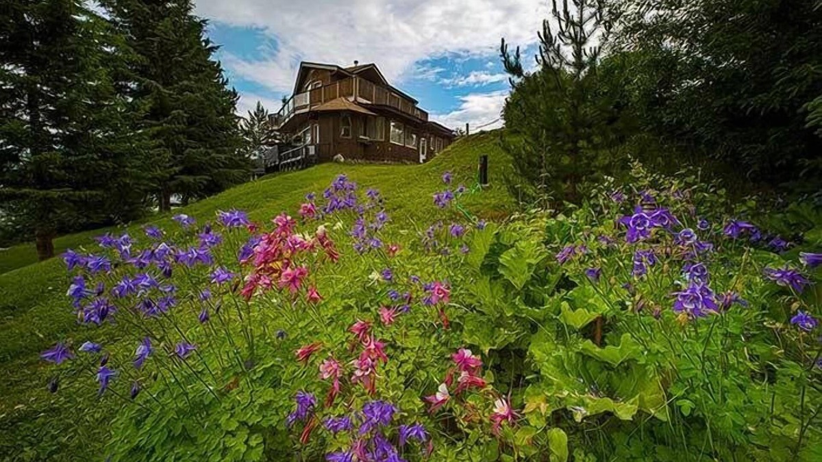 Anahim Lake Cabin | Eagle's Nest Resort