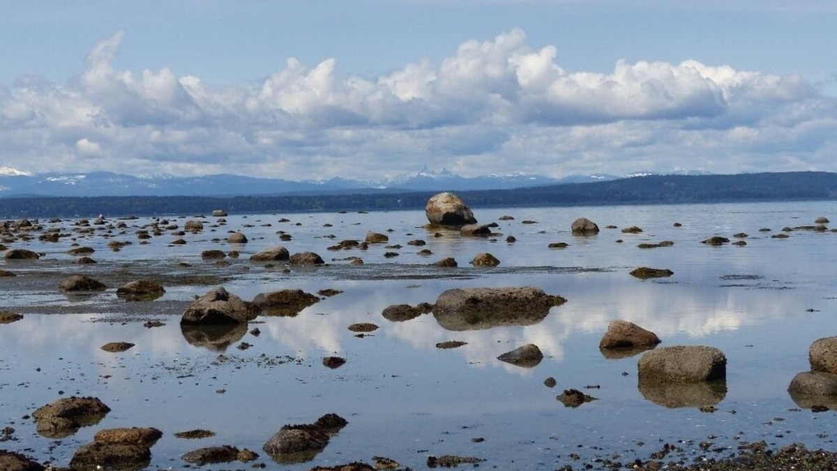 Discovery Islands House | Eagletree Cottage -Secluded waterfront tranquility with spectacular view