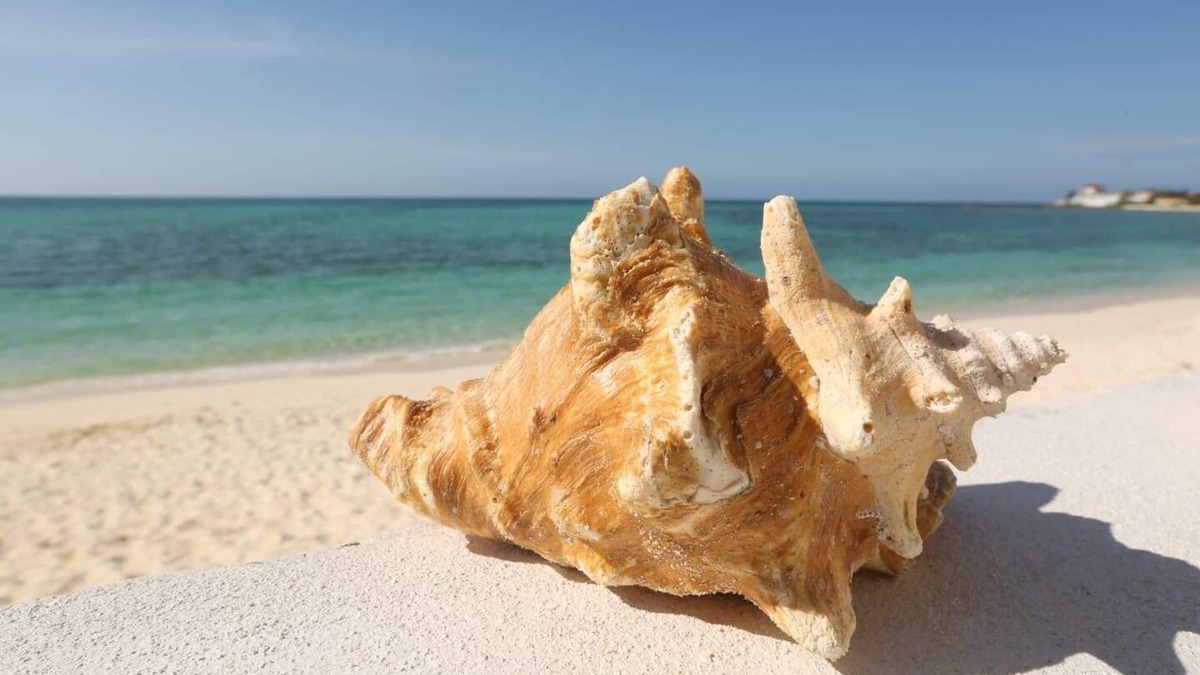 Nassau House | Easy Breezy - cable beach