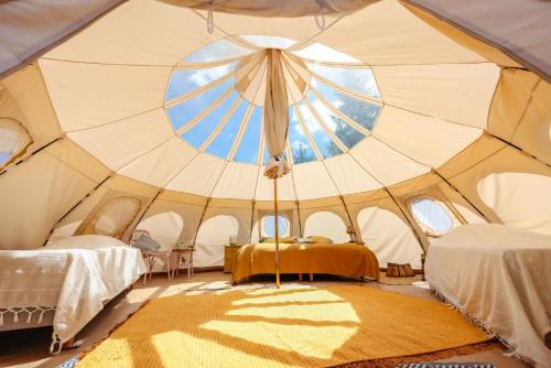 Busque Other | ECO CEIBA