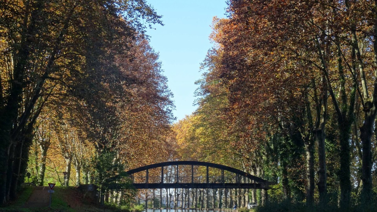 Meilhan-sur-Garonne Cottage | Eco cottage "In the Garden" at the edge of the side channel of the Garonne and the greenway