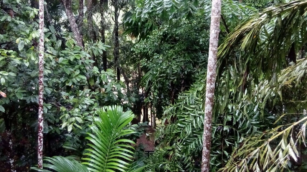 Embilipitiya House | ECO FOREST VILLA - A HOMESTAY FAMILY HOUSE WITH NATURE BEAUTIES