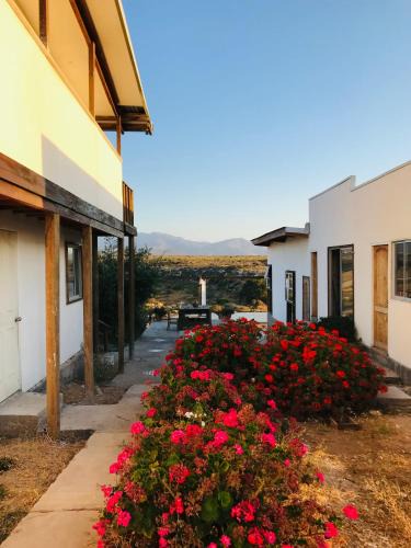 Coquimbo Bed & Breakfast | Eco Lodge Loro Tuerto