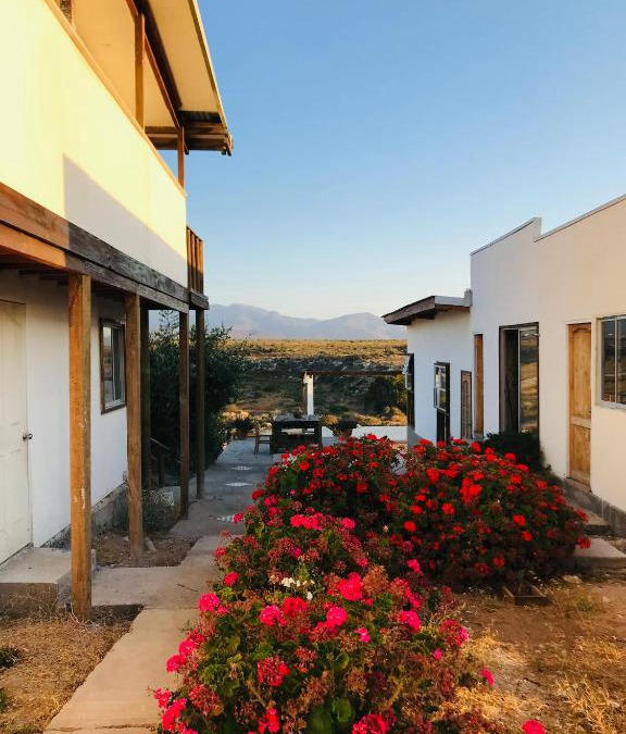 Coquimbo Bed & Breakfast | Eco Lodge Loro Tuerto