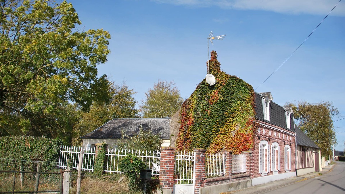 Cayeux-sur-Mer House | Eco-renovated 1900 Picardy house 15 minutes from the sea, nature and comfort