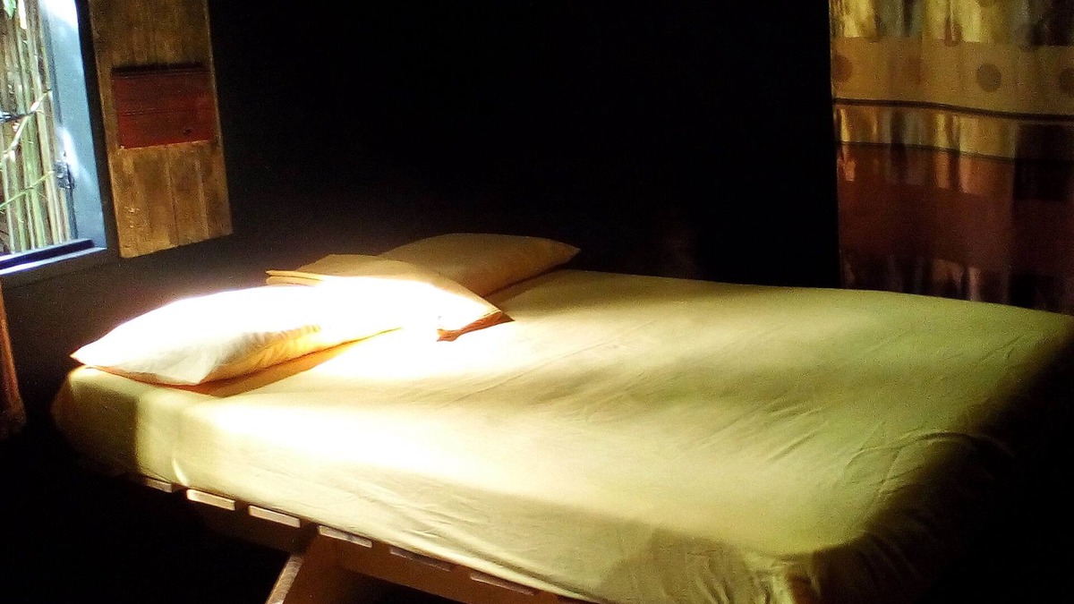 Port Antonio House | Eco-Rustic Museum House & Art Stage between two beaches