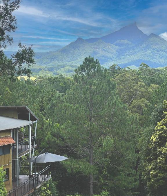Smiths Creek Cabin | EcOasis