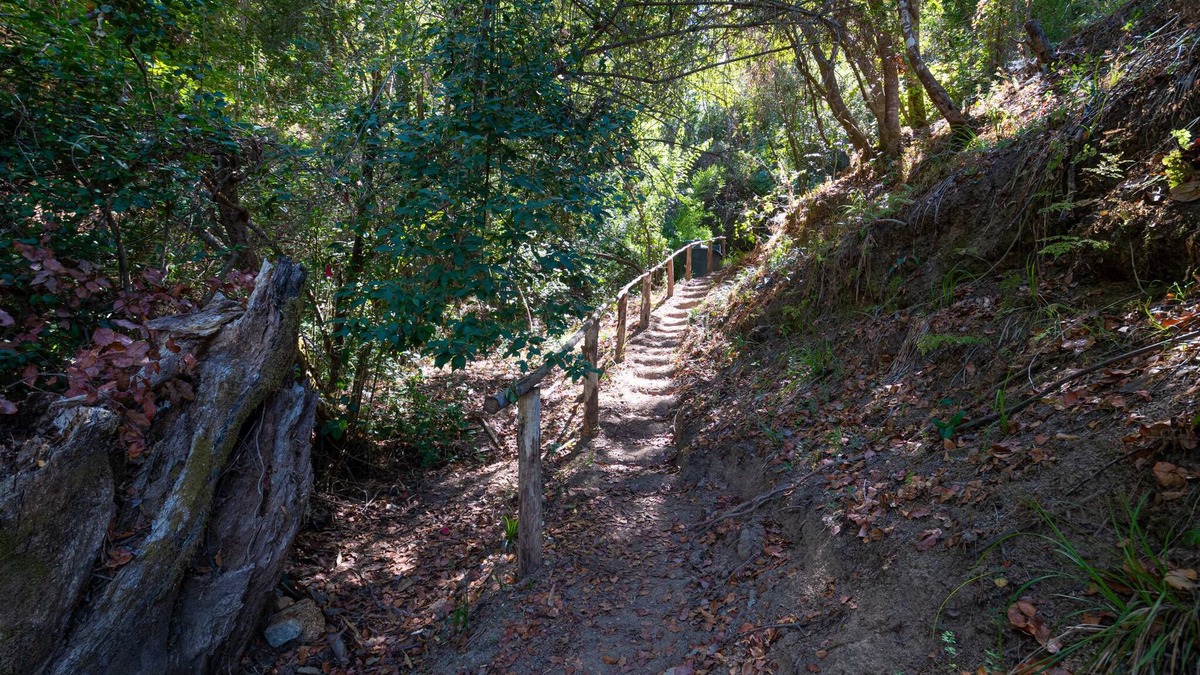 Nuble Region Cabin | Ecolodge And Wines with native nature, where Chilean wine was born.