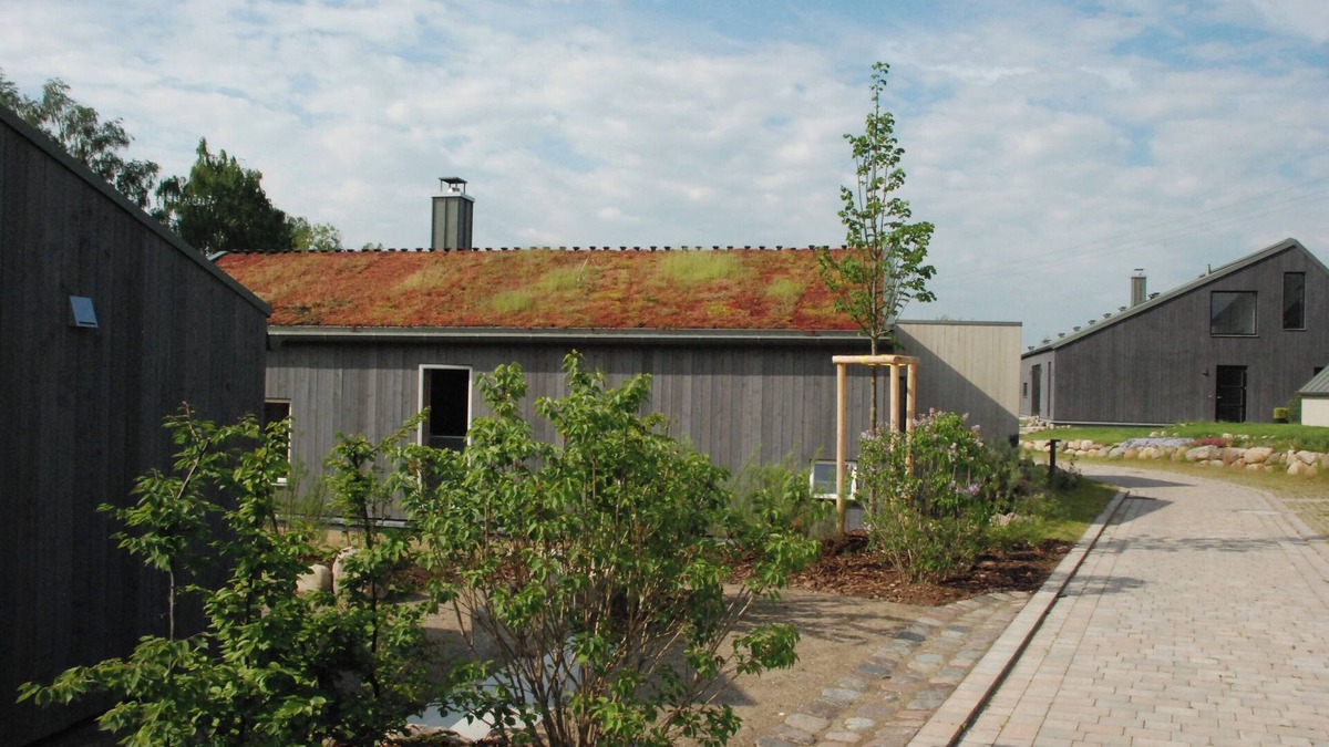 Niendorf Cottage | Ecological vacation home between Lübeck and Wismar, child-friendly beach