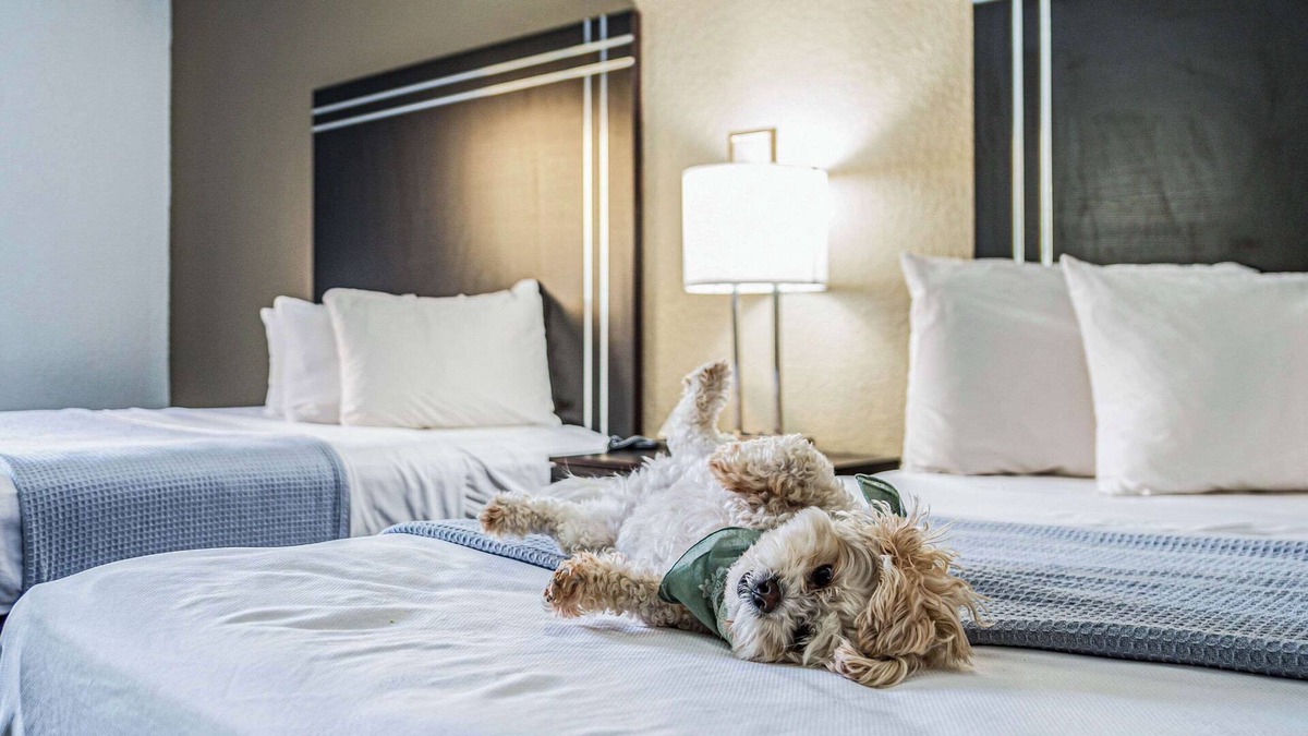 Streetsboro Hotel | Econo Lodge Cleveland Southeast - Kent