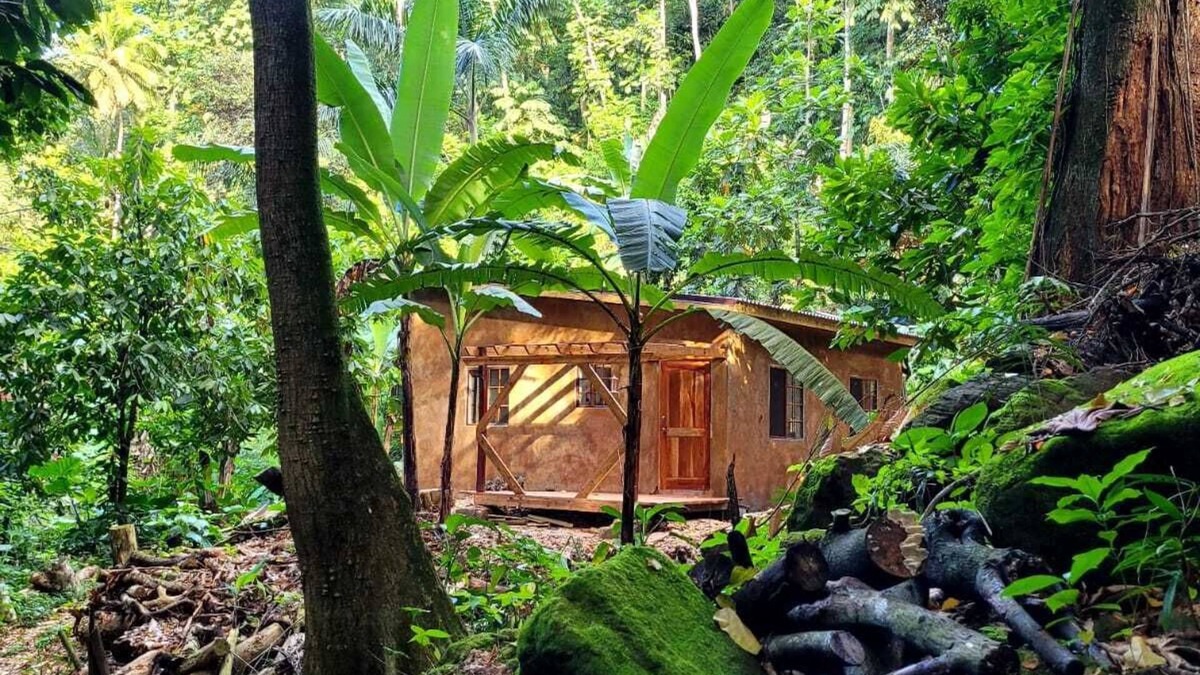 Mammee Bay Cottage | Ecoscape Tulia - Private Nature Escape - 1 Bedroom, 30 minutes to Ocho Rios