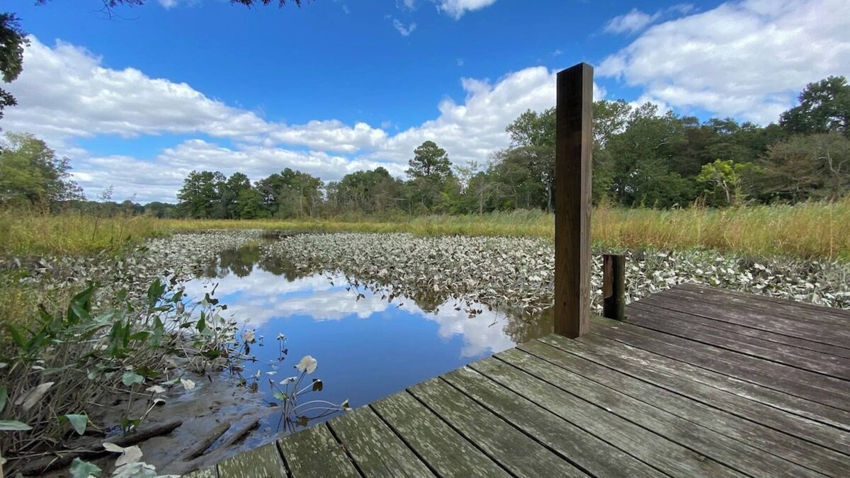 Allen Apartment | Eden Farm: Private Studio Minutes from Salisbury