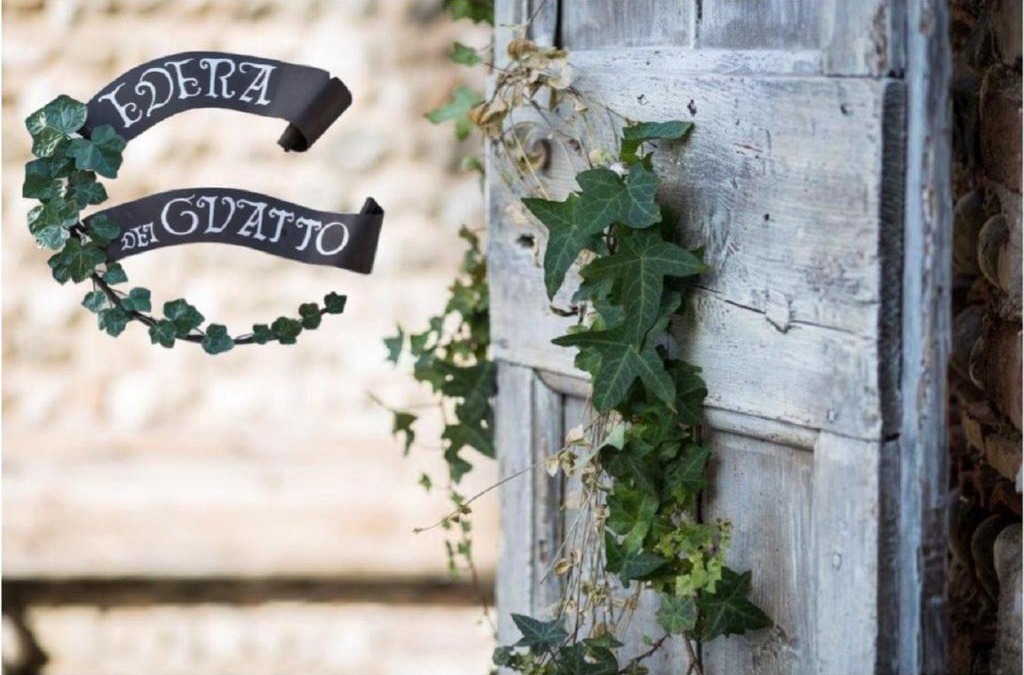 Bertiolo Bed & Breakfast | EDERA dei Guatto