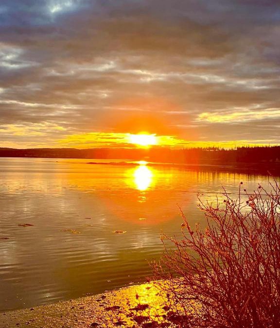 Chemainus House | Edgewater sunrise apartment
